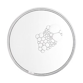 Essence Multi-Active - Återfuktande och vitaliserande extrakt